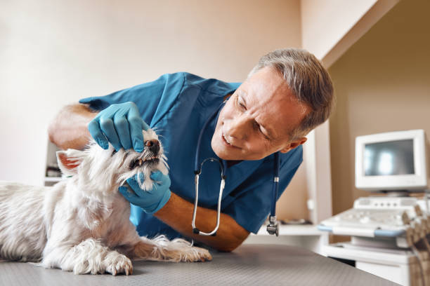 Best Emergency Tooth Extraction in National Harbor, MD